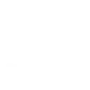 vegetable